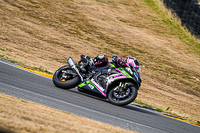 anglesey-no-limits-trackday;anglesey-photographs;anglesey-trackday-photographs;enduro-digital-images;event-digital-images;eventdigitalimages;no-limits-trackdays;peter-wileman-photography;racing-digital-images;trac-mon;trackday-digital-images;trackday-photos;ty-croes